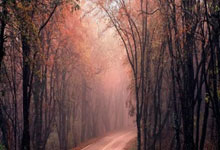 开云体育在线-巅峰对决！王者之争谁主沉浮？