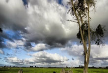 开云体育app-运球顽拼是第一，如何韧毅果胜手