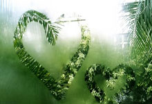 开云体育平台APP-摩洛哥瓦赫达防守体系调整，力求守住关键战局