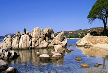 开云体育官方网站-狭路相逢勇者胜！大连一方血性对决恒大中超巅峰夜引爆滨城