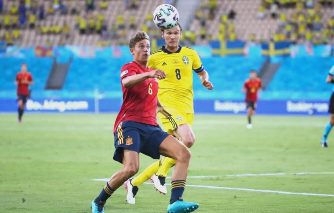 开云APP-包含瑞典队奋斗到底，跻身欧洲杯四强的词条