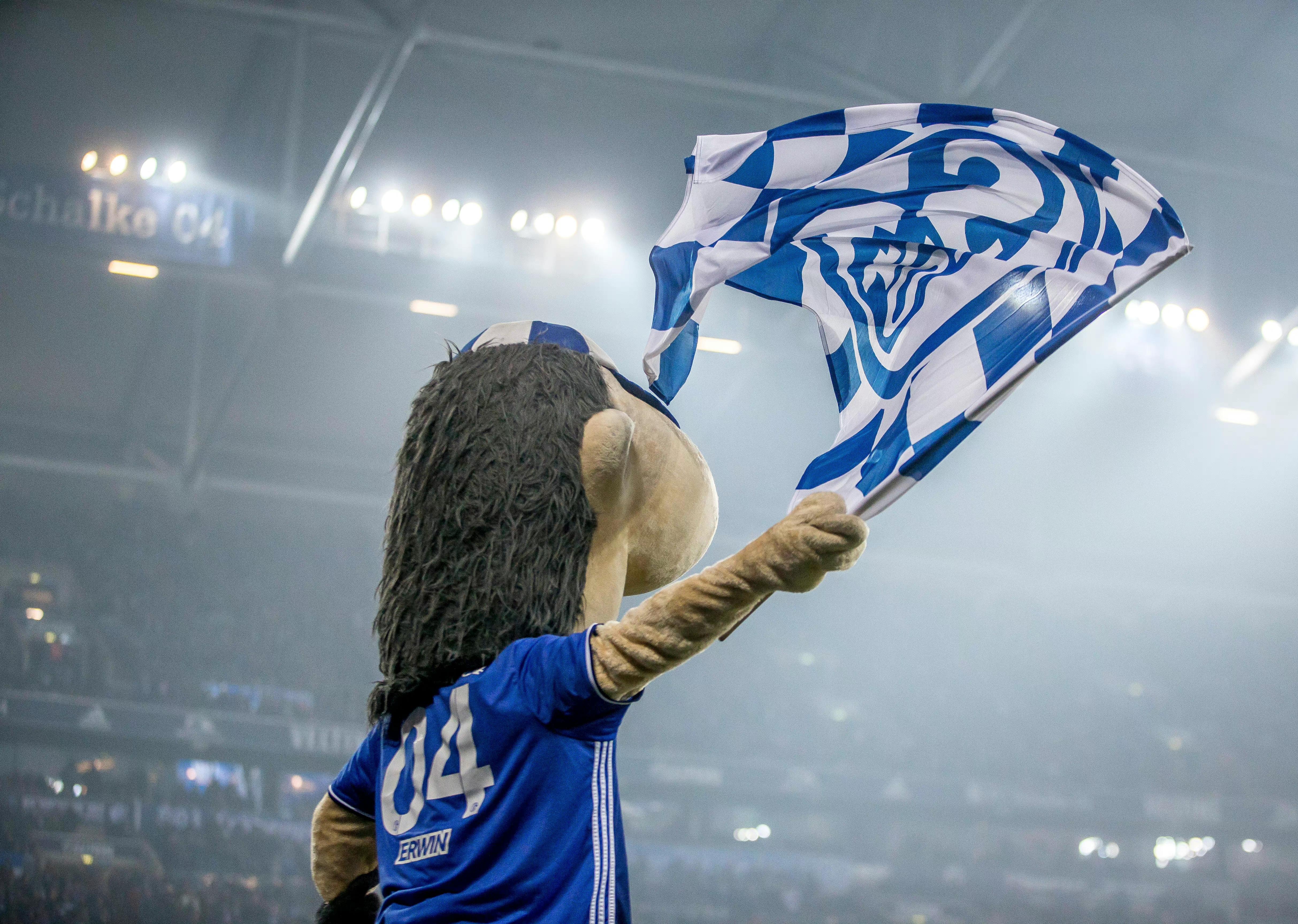 开云体育下载-包含沙尔克客场告捷，为保级增加希望的词条