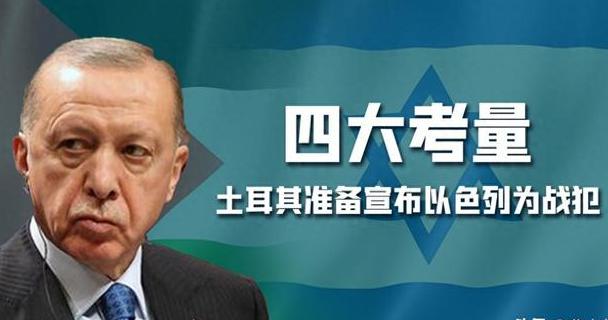 巴勒斯坦队员勇夺冠军，表现令人瞩目