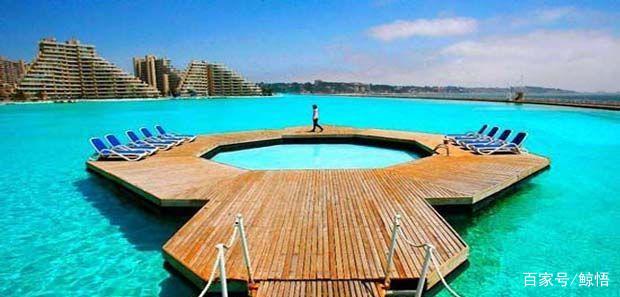 智利游泳运动员在比赛中实现突破 智利游泳运动员在比赛中实现突破