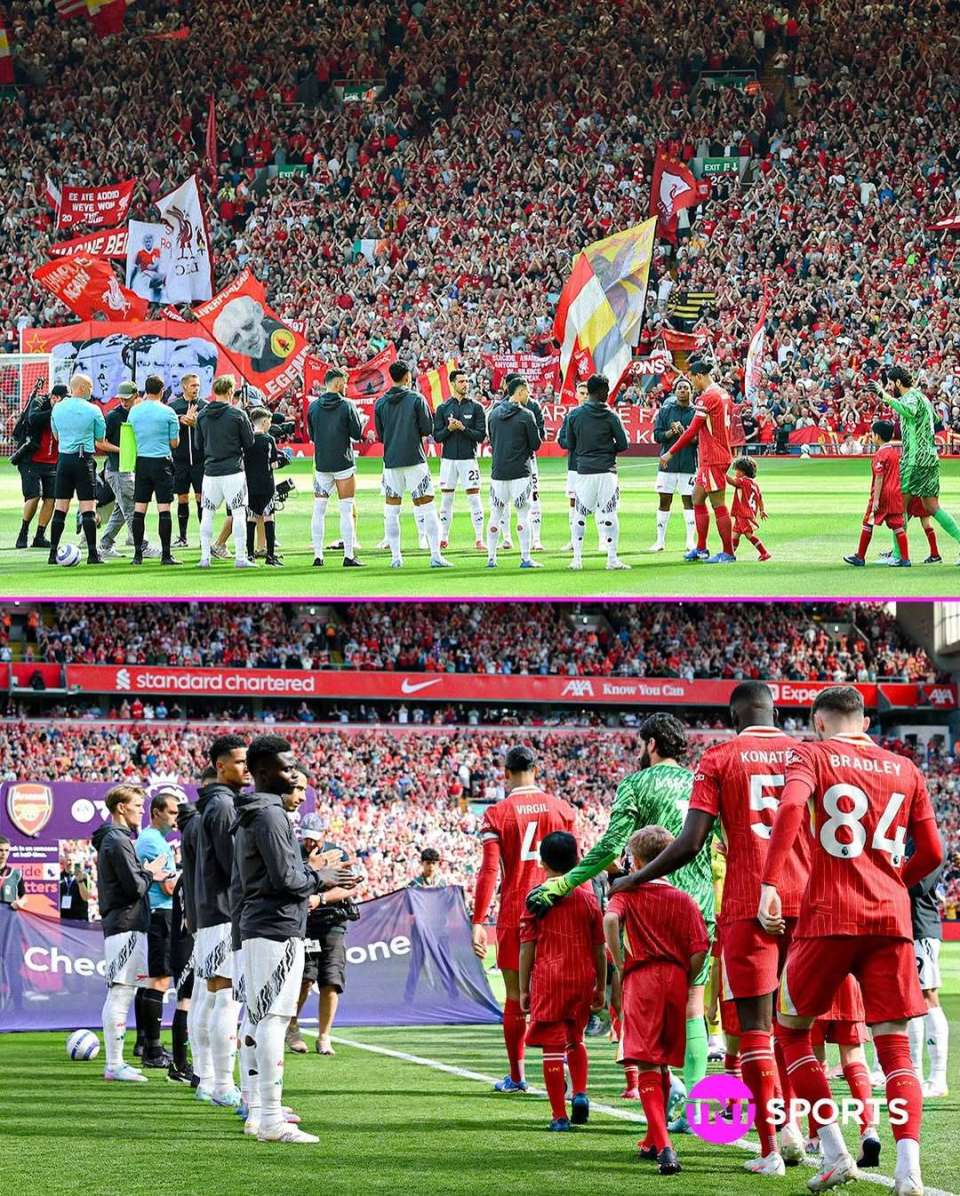 关于球队战术风格大变,球员适应迅速引人注目的信息 关于球队战术风格大变,球员适应迅速引人注目的信息