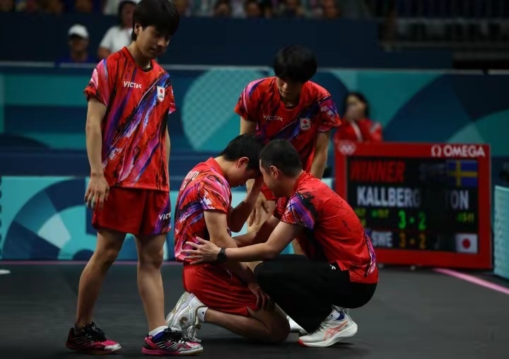 包含法国乒乓球队险胜瑞典乒乓球队，张本智和统治全场的词条