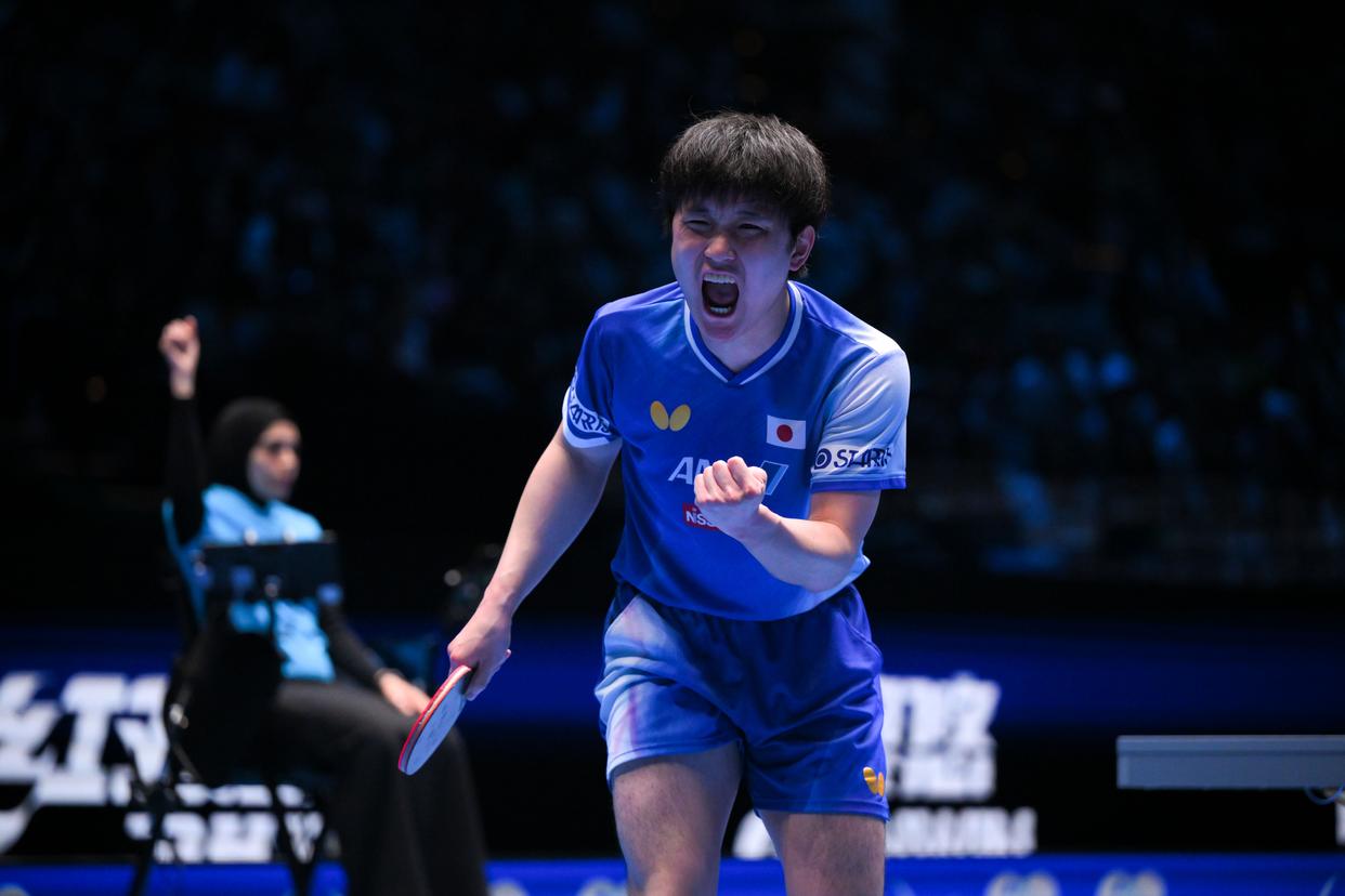 包含瑞典乒乓球队强势中国乒乓球队，张本智和惊艳世界的词条