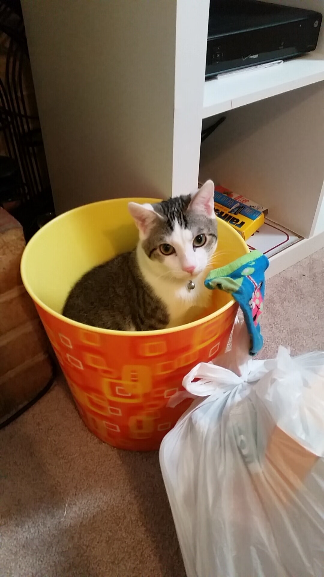 钢铁意志与天赋的胜利,哈弗茨一锤定音助德国险胜克罗地亚,迈出争冠关键一步