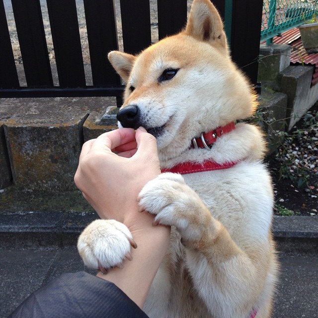 当足球加时赛遇见F1街道赛,法比尼奥如何在两个赛场上演接管艺术