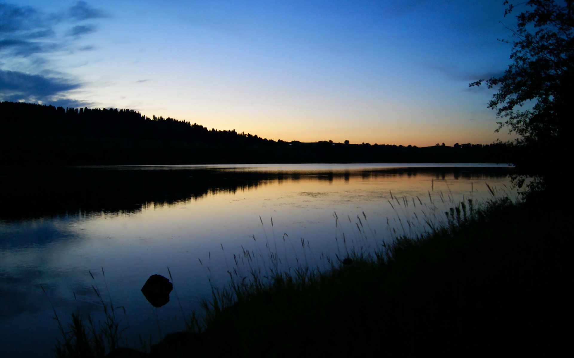 球王之阶,德甲争冠夜切特如何以一人之力改寫歷史