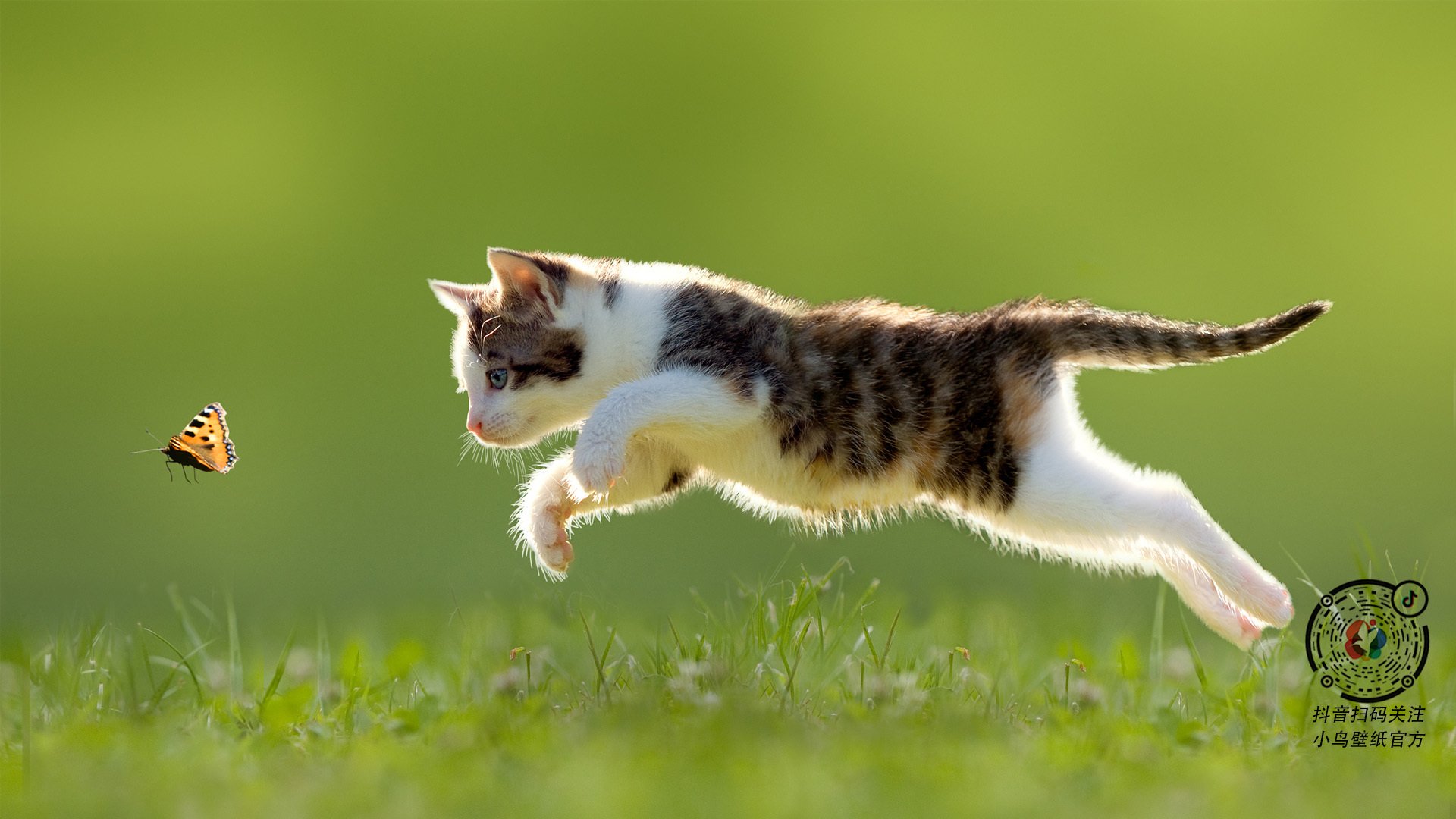 开云体育官网-跨界风云，辽宁队力克奇才，NBA总决赛舞台迎来中国新纪元