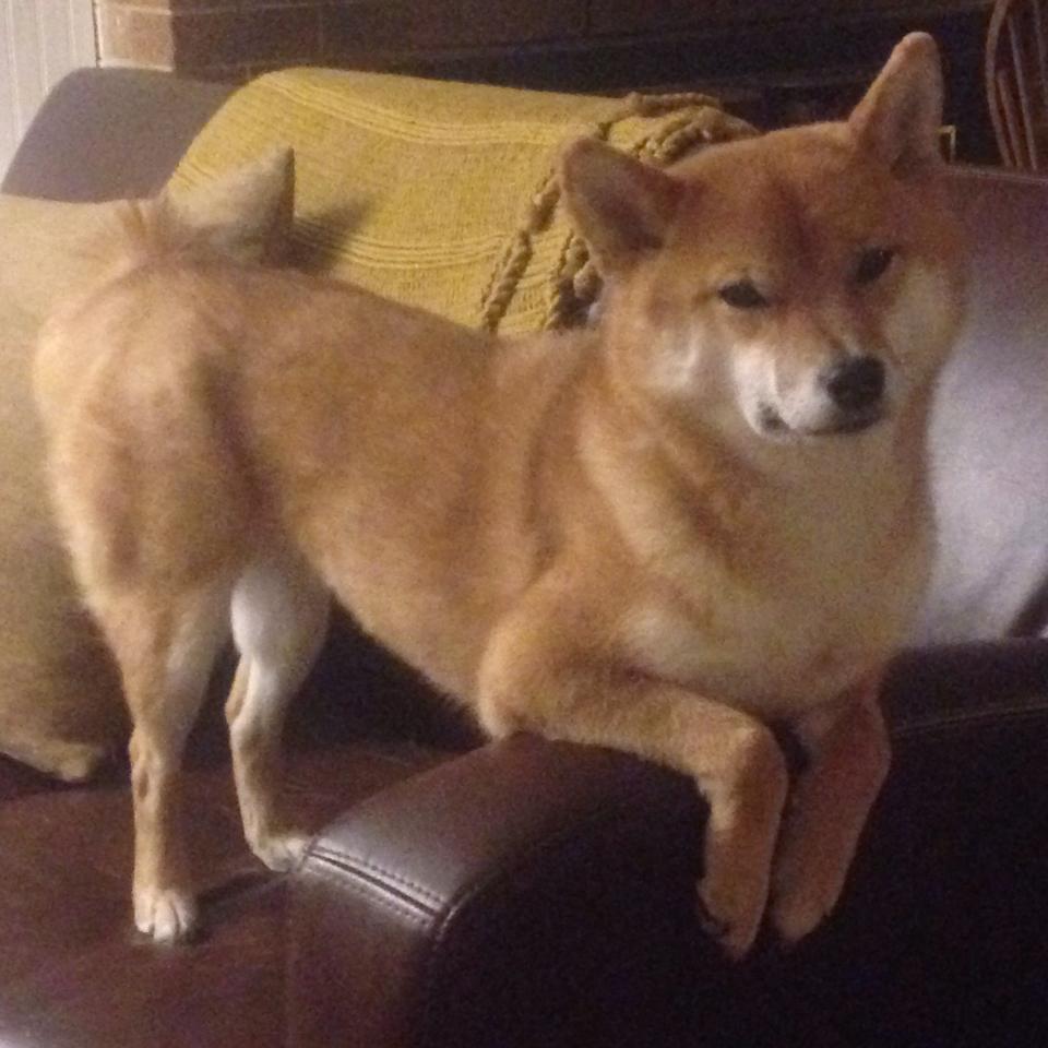 F1街道赛焦点战,亚特兰大火力全开,强势压制马德里竞技