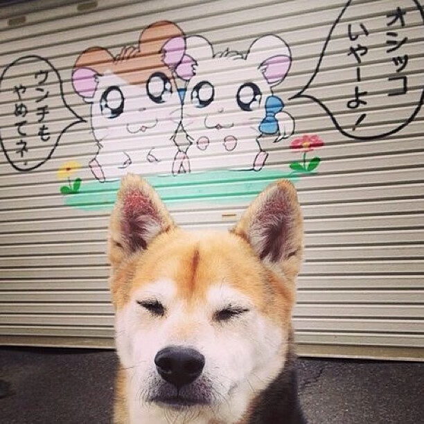 开云体育官方网站-莫兰特全面爆发显巨星本色，快船淘汰赛力克雄鹿惊险过关