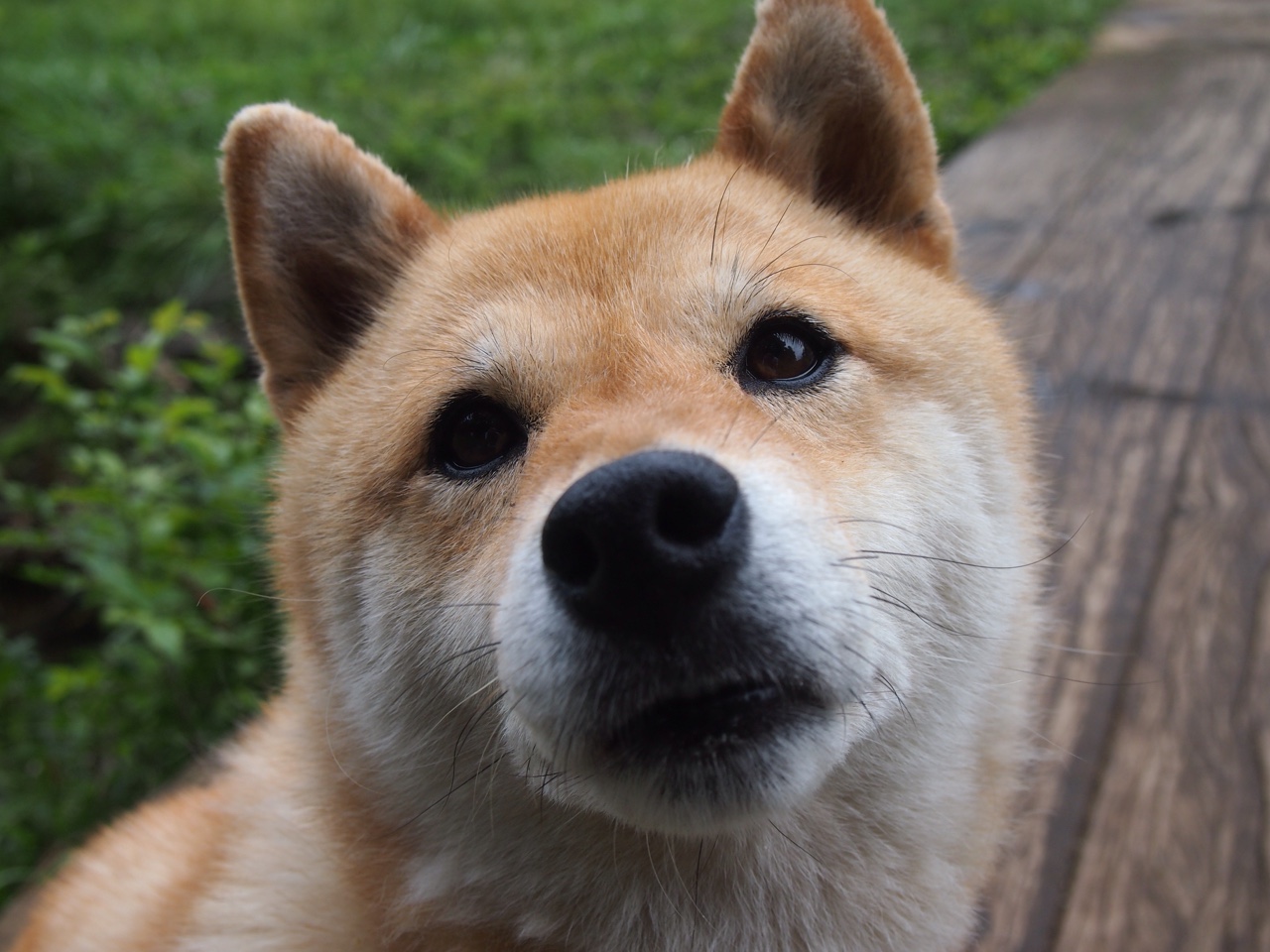 无名之战，有为之士，拉亚用一场完美表演，在沙漠与高原之间写下自己的名字