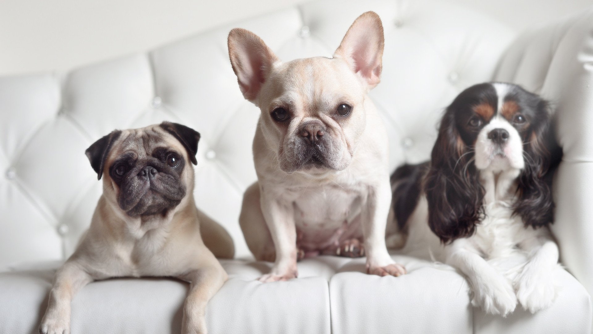 当NBA总决赛遇见足球绝杀，一场跨时空的体育幻想