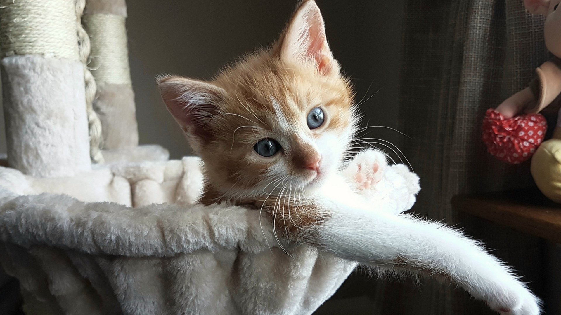 格纳布里掌控节奏，曼城对阵厄瓜多尔展现团队艺术