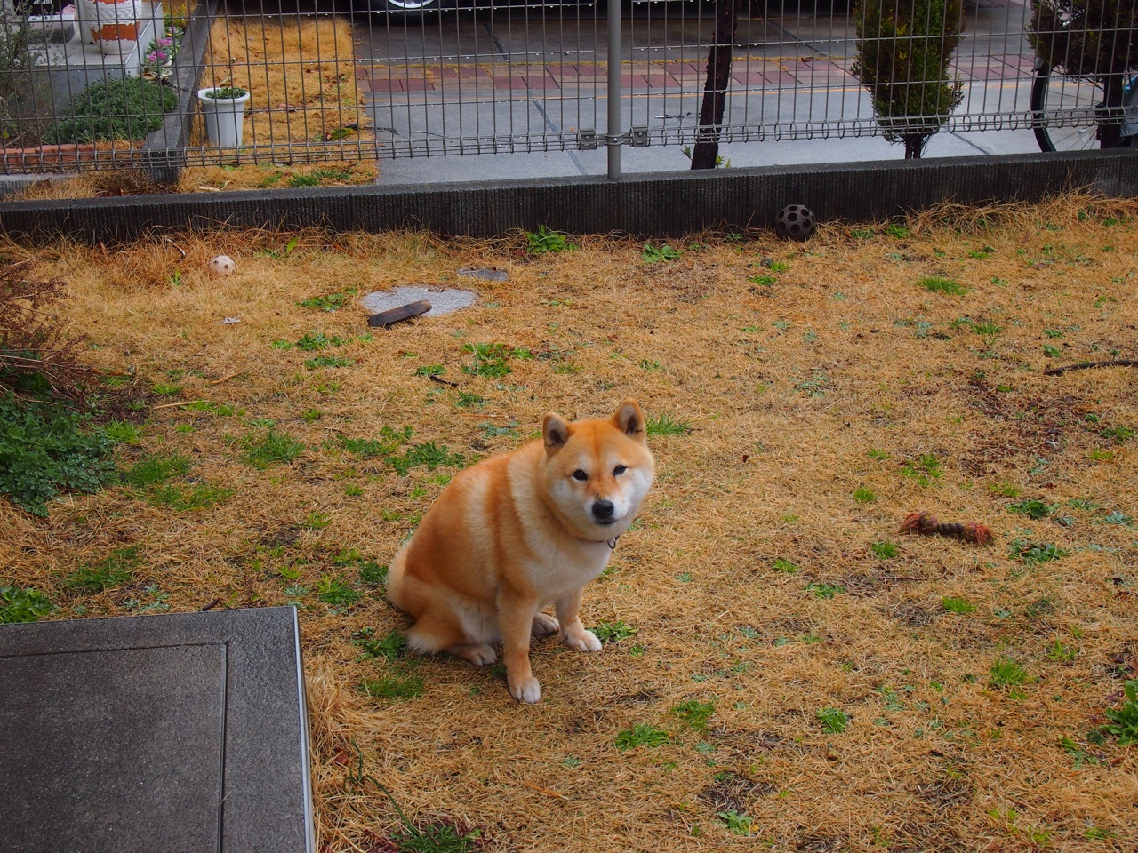 开云体育下载-凯塞多引爆永恒之城！罗马单节狂飙击沉摩纳哥