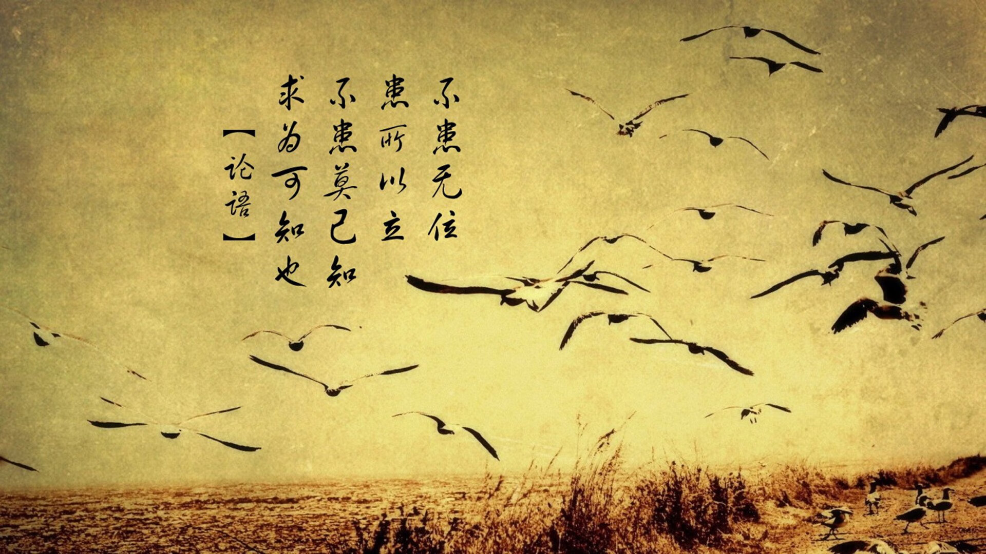 亚特兰大狂潮席卷冰城，奥利维耶全能统治攻防