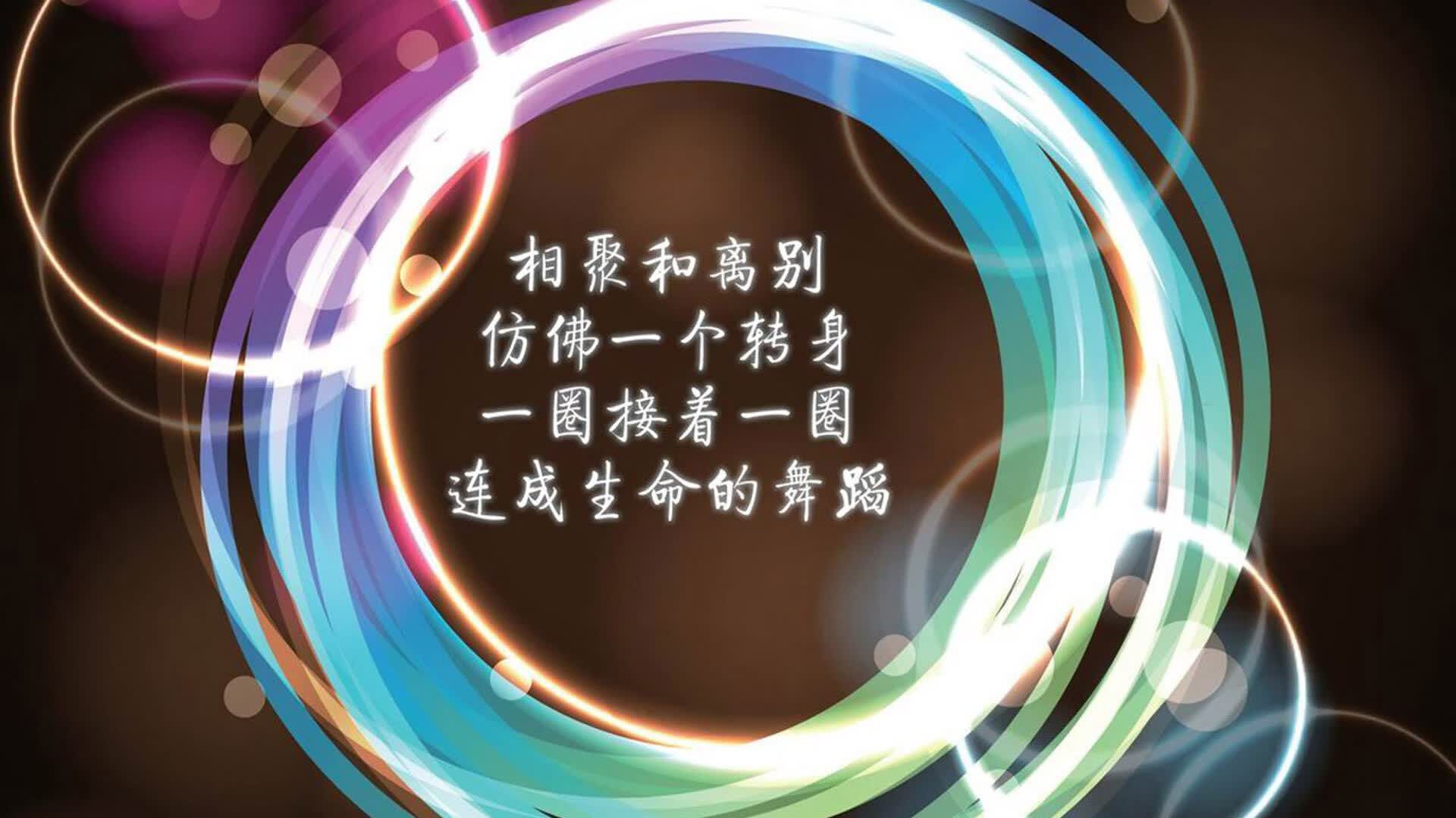 雪域铁骑与波斯铁骑的冰火对决,阿方索·戴维斯导演2026世界杯C组紧凑大戏